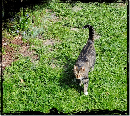 DSC_0002 DSC_0002