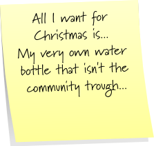 superstickies (54)