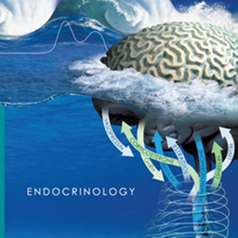 01. General Endocrinology