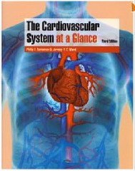  The Cardiovascular System at a Glance