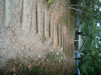 Reunion2006 008.jpg