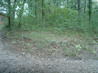 Reunion2006 021.jpg