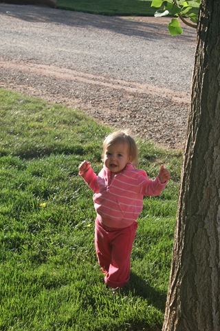[IMG_67263.jpg]