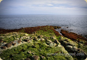 20100328-IMG_3722