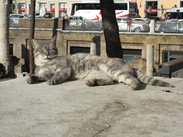 [IMG_03922.jpg]