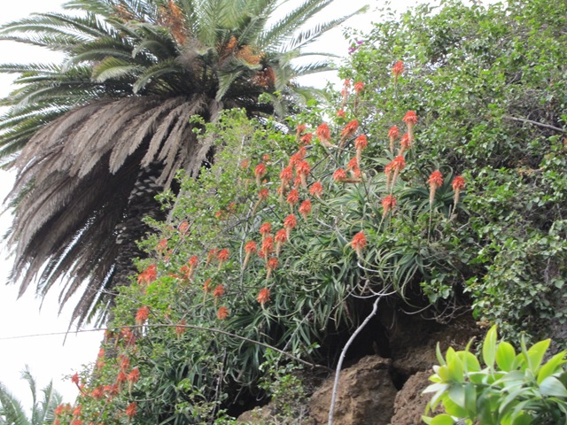 [IMG_06622.jpg]