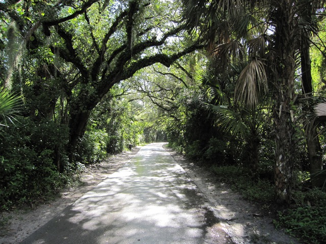 [IMG_08772.jpg]