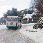 Vague de froid et baisse de température, L’Algérie sous la neige
