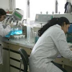 Une formation doctorale pour 3000 jeunes chercheurs