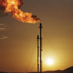 Baisse des prix du pétrole Les exportations en chute libre en 2009