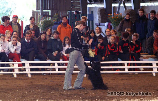 heroszsuli