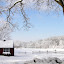farmstandinwinter Iarna nu vrea sa plece ( Galerie Foto )