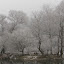 strumariverinwinter Iarna nu vrea sa plece ( Galerie Foto )