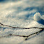 winterbybehindmyblueeyes Iarna nu vrea sa plece ( Galerie Foto )