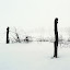 inthesnow Iarna nu vrea sa plece ( Galerie Foto )