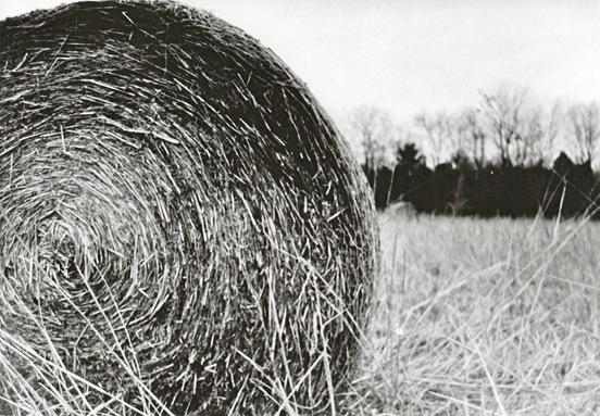 Haybale