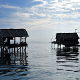 DSC_0300.JPG