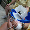 100_0971.JPG