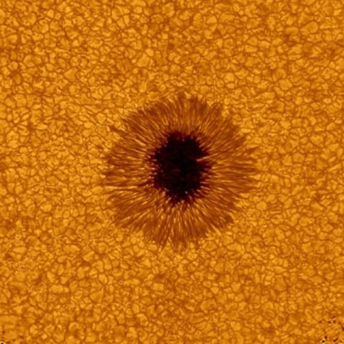 sunspot-image-100903-02