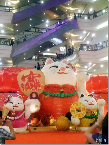 IMG_0095 copy