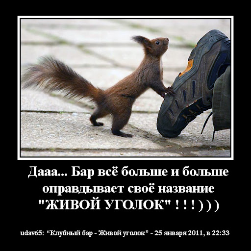 http://lh4.ggpht.com/_otmYcjCLyc4/TT_U_clji9I/AAAAAAAABao/GasksP0eKt8/bar-opravdyvaet-001.jpg