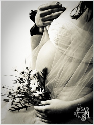 [3148019984_1318ff1873_o[5].jpg]