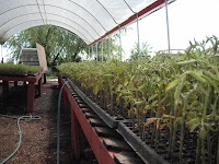 DSCF0735.JPG
