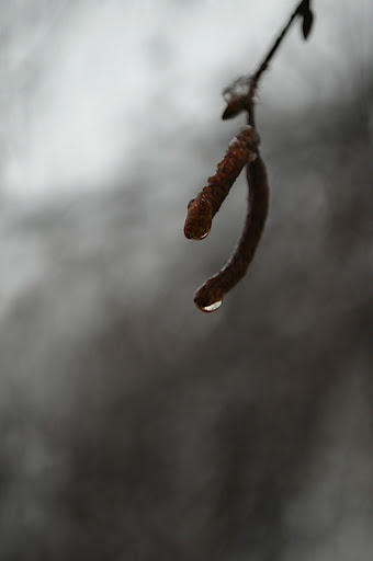 Druppel - Cursus-opdracht zondag 24-01-2010