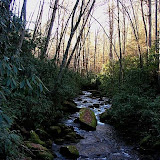 Creek, North Carolina, USA, K.M. Newton, 2007