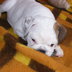 DSCF6755.JPG