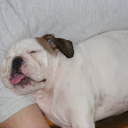 DSCF6778.JPG