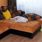 100_3200.JPG