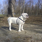 DSC00202.JPG