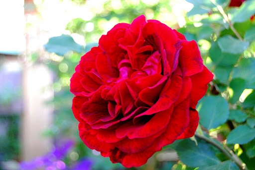 У меня есть вкусного