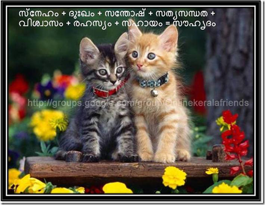 image Friendship