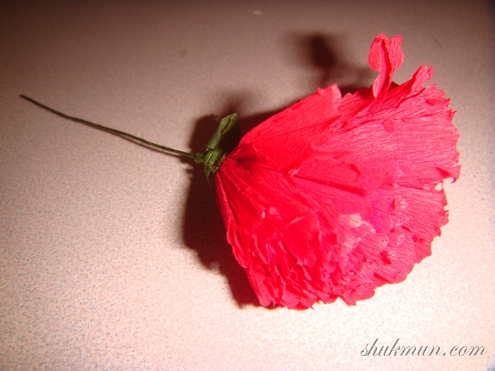 DSC03590