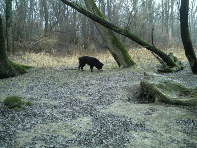 BILD0302.JPG