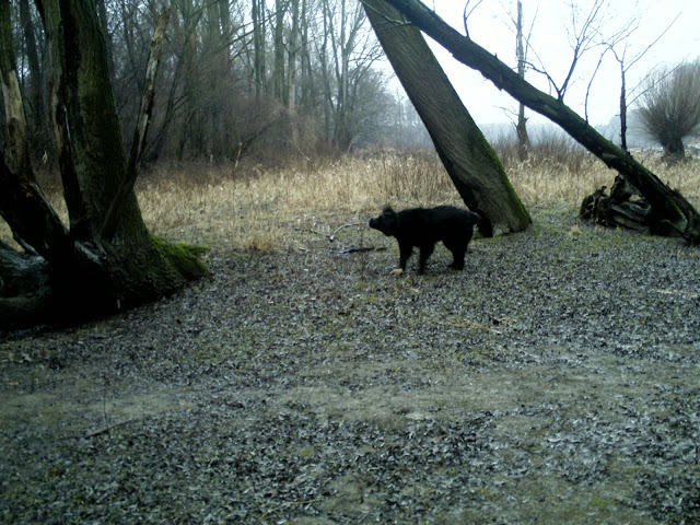 BILD0321.JPG