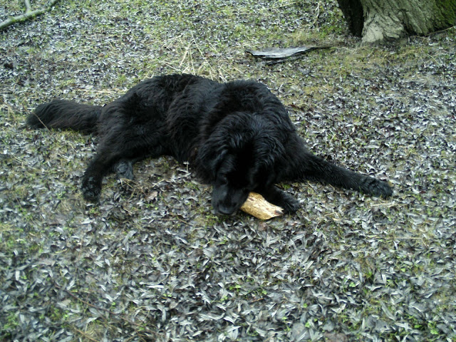 BILD0309.JPG