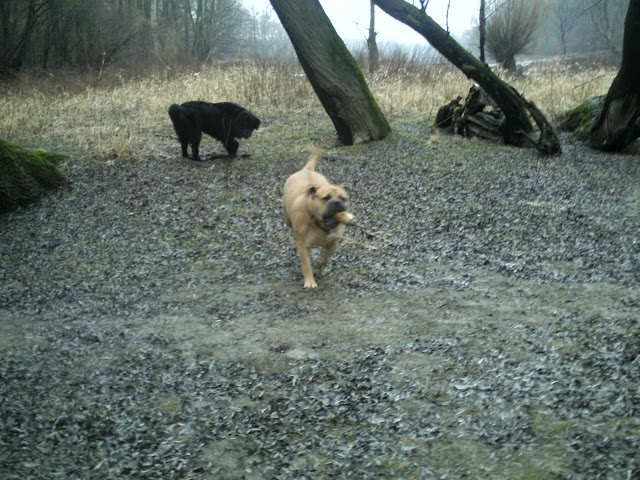 BILD0324.JPG