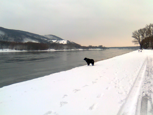 Bild139.jpg