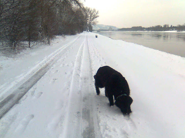 Bild144.jpg