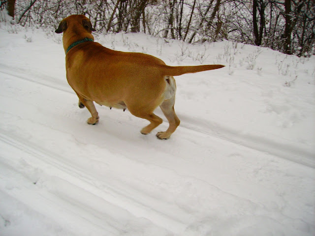 PICT0066.JPG