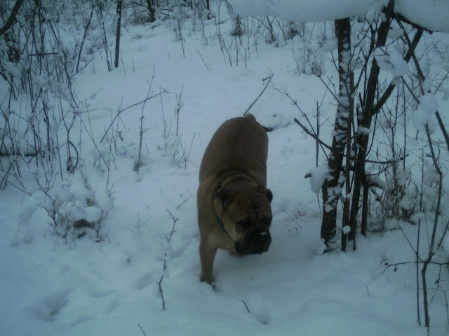 BILD0226.JPG