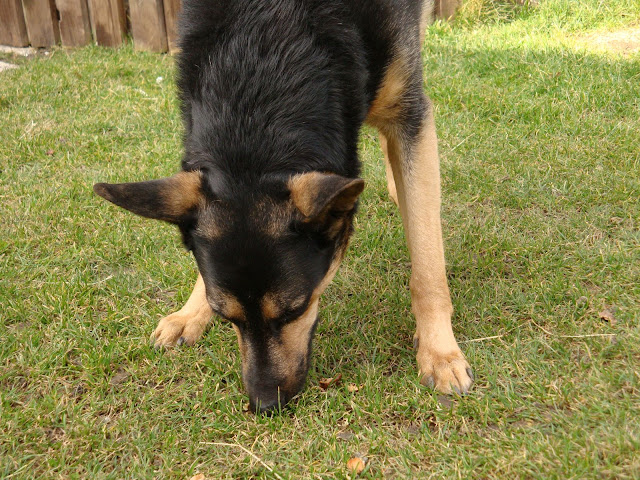 DSC01058.JPG