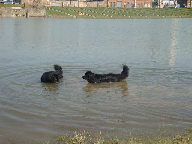 DSC01448.JPG