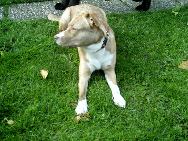 BILD0010.JPG