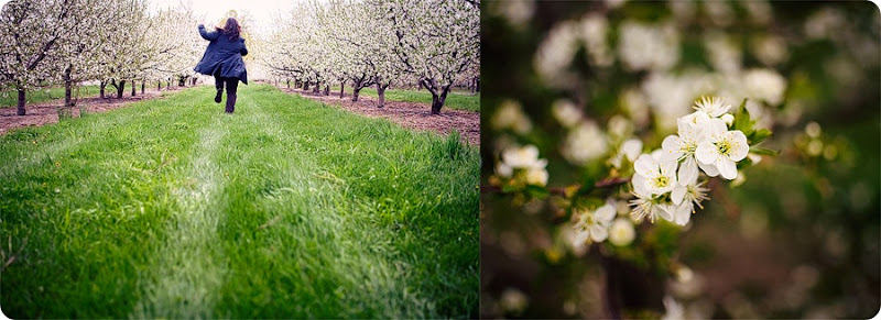 110502_blogdiptych_webready 110502_blogdiptych_webready