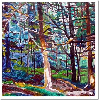 Forêt de Haute Loire, 40x40cm, mai 2011 Forêt de Haute Loire, 40x40cm, mai 2011
