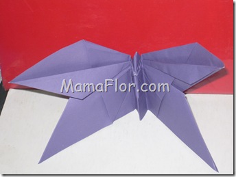 mariposas mariposas